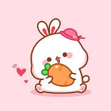 Ypeji0974's profile picture. She was a wildflower in a sea of roses.