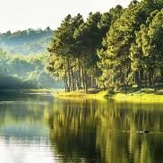 Idwarpar (@idwarpar906851) 's Twitter Profile