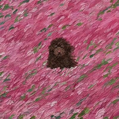 4i/INFP/丁克/vx有🚪/https://t.co/W7CTWVV9HD （匿名提问）