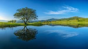 Poetry is when an emotion has found its thought and the thought has found words.