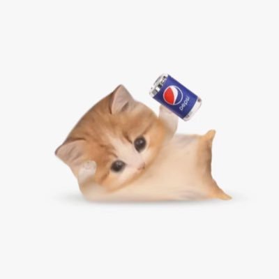 LiuYMLeslie's profile picture. t1/swi/黑皮/颅内高潮重症患者