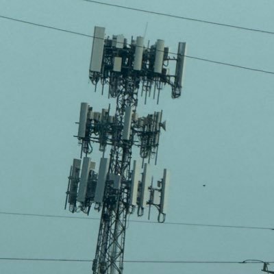 network ninja Profile