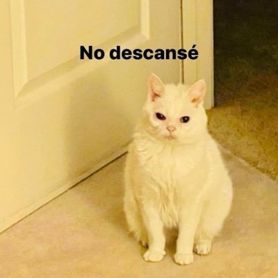 nodescanse's profile picture. 