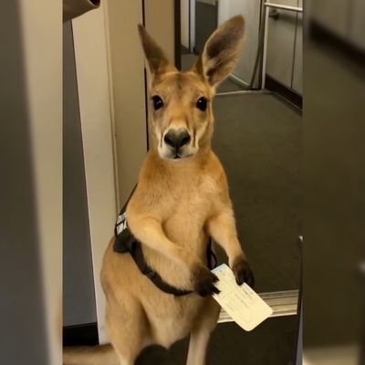 edgyhumour21's profile picture. someone's 🧸