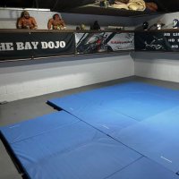 The Bay Dojo (@baydojo) 's Twitter Profile