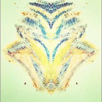 SariyaAmani (@sophiamo2024) 's Twitter Profile
