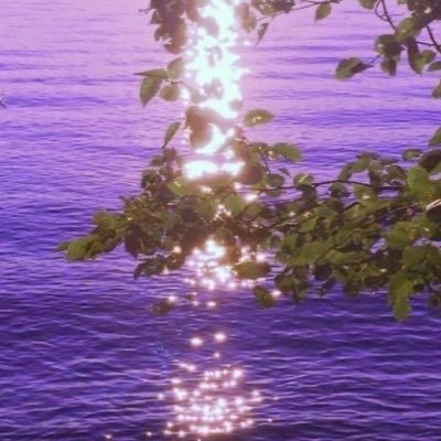 ArcturusUser's profile picture. 