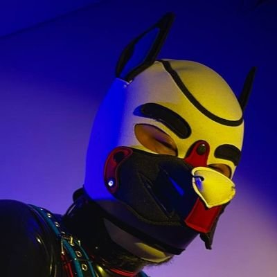 🔞 NSFW / no minors / chat friendly / open with @adwlfy 🐼 / #pupplay #puppyplay #rubber #latex