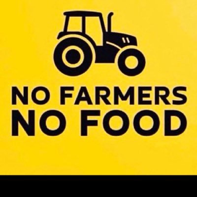 CryptoLucy101's profile picture. Not a BOT!!!  Proud APE helping shine the light into WallStreets darkest corners. We ARE the whale.