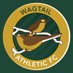 Wagtail Reserves (@wagtailreserves) Twitter profile photo Wagtail Reserves (@wagtailreserves) Twitter profile photo