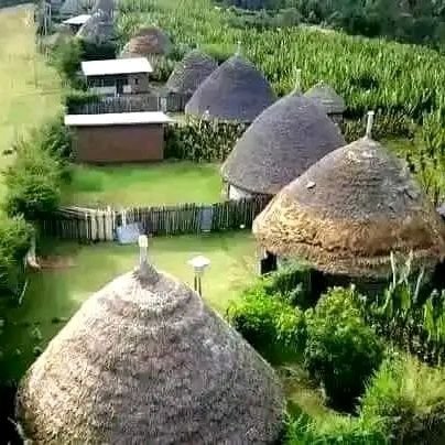 ChehaWored89583's profile picture. 