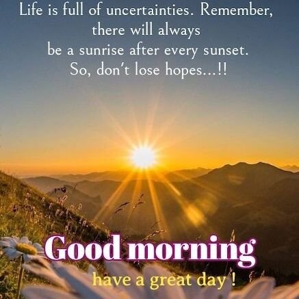 ♥️🤍💙MAGA MAHA 💯% ..❤️🤍💙
AMERICA FIRST AGENDA..
🇺🇸 TRUMP 🇺🇸 VANCE..
🚫DM Unless I know you..
🚫PORN Will Be Blocked..
🚫Crypto,Not Buying,or Selling..