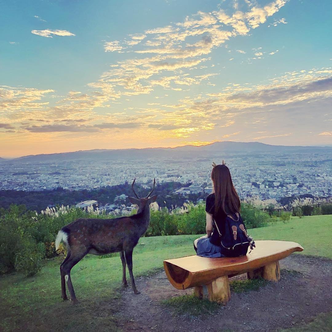 Kalipu848's profile picture. 