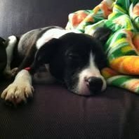 _allen_ban's profile picture. CEO of overthinking things