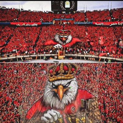 MMonem73's profile picture. 