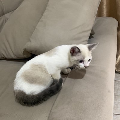 frgodoy1982's profile picture. 