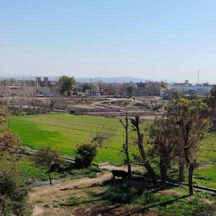 AsadKhan203468's profile picture. 