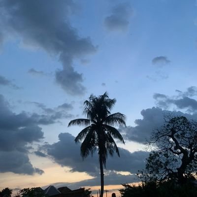 simplyjago's profile picture. I'm never out of the fight|| Gym rat|| @Realmadrid