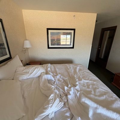 H52884Haslam's profile picture. 