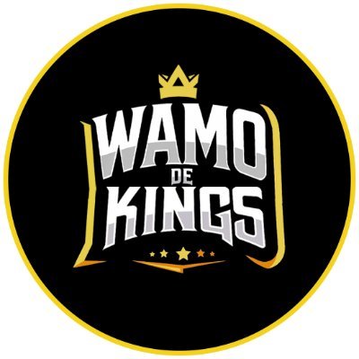 wamodekings's profile picture. ENTÃO WAMO DE KINGS ?