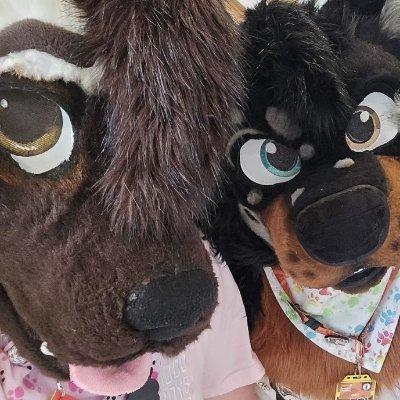 | 27 year old | UK 🇬🇧 | bisexual 🏳️🌈 | He/Him | IT Support Engineer | SFW Account | Fursuit by @JawsNpawsUK | 💙 Taken by @Sparkthehusky1 🧡
