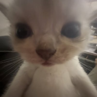 eartheaterrrr_'s profile picture. ꒰ᐢ. .ᐢ꒱₊˚⊹