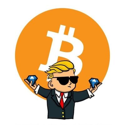 muskofficial02's profile picture. Crypto Analyst and Trader, also offers investment and VIP Signals
