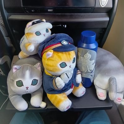 ㈱にゃんにゃんちゃん 名前はまだない。🐾🛌TGS 9/25〜9/28 on X: 