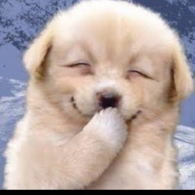 czqid3's profile picture. あおきみひな 脳内パスなのあいな W.にこ ミントねね