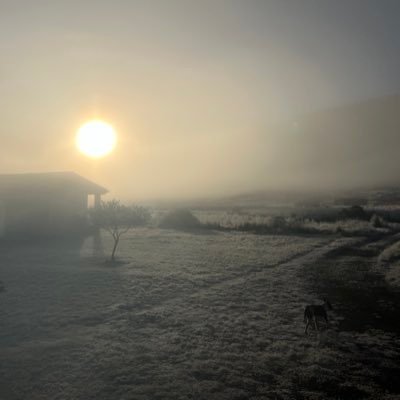 jordi_leyva's profile picture. 