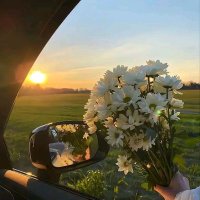 Esra Al (@esraal709684999) Twitter profile photo