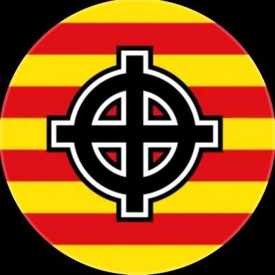 Pauet377's profile picture. 