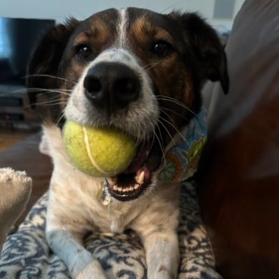 ElisabethPigati's profile picture. 