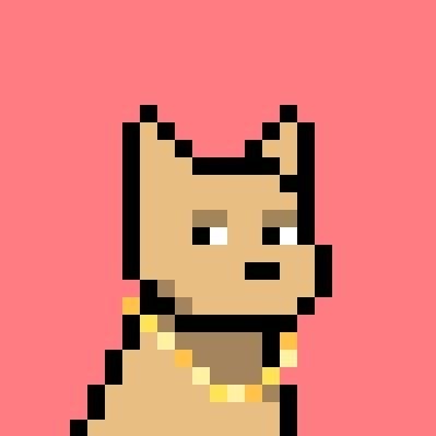 jodyisbullish's profile picture. Crypto Investor | Car Enthusiast  |