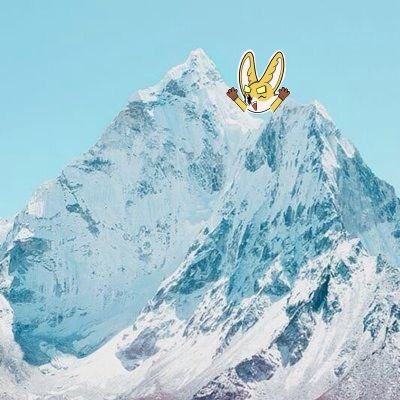 nicked919's profile picture. Buying high, selling low.