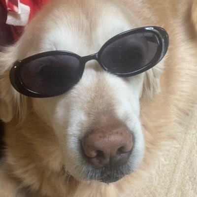 soemthinstupid's profile picture. 