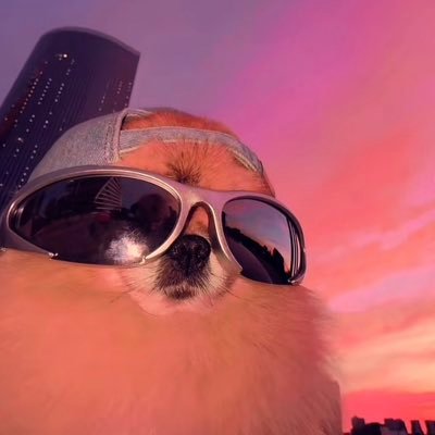 BullsUnited3's profile picture. $KORI maxi