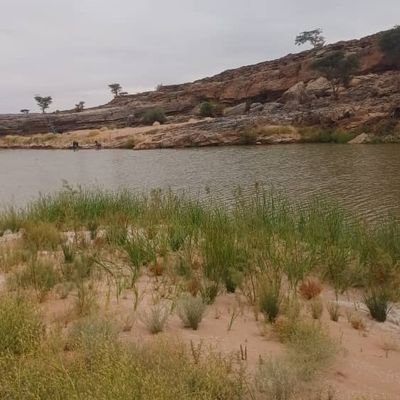 ucxECsIdZZnAogb's profile picture. 