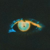finn, scopophobic (@finndecypher) 's Twitter Profile