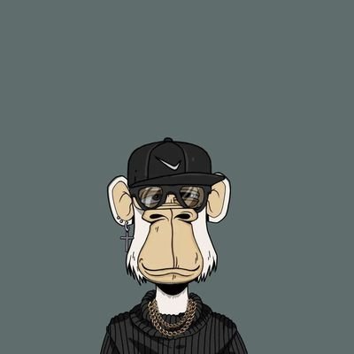 CT_Rapid's profile picture. CT's social media manager || CT's rapid reply guy || CT's technical writer || CT's space host || CT's PR specialist