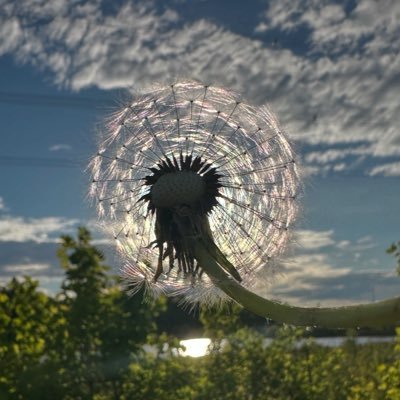 nurgulistann's profile picture. #calligraphy✍🏻 #watercolor #photography 📸 #poetry #autismawereness 💙💙