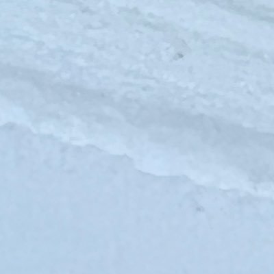 bourei1999's profile picture. すき