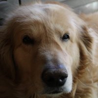 🏴‍☠️S.AKIRA715🏴‍☠️🎣☔️🐬🌙🪼☁️ (@akr_bp5) 's Twitter Profile Photo