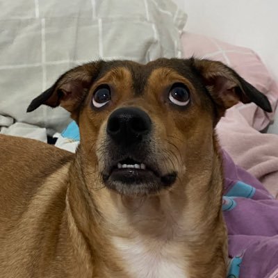 _mellxr's profile picture. the biggest hater