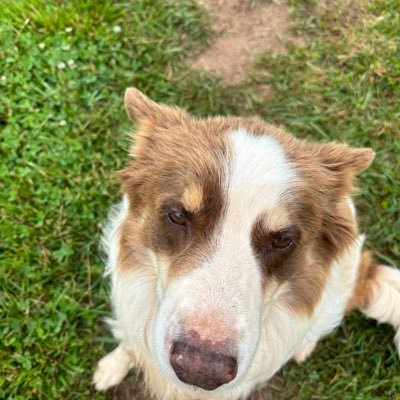 TabathaR81407's profile picture. Christ is my savior