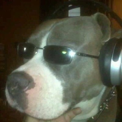 Funky music shining disco, move it, shake it, hit it, feel it, taste it, shake it, love it, touch it, learn it, burn it, do it, get it.