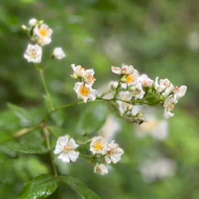 CircusclownPig's profile picture. 24yr old worthless, anal pig here for male entertainment and approval. Repost piggy’s post 🤡🎪🐷