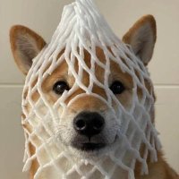 Wrapped2theMAX (@wrapped2themax) 's Twitter Profile