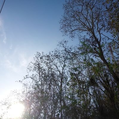 Muhammadaz83895's profile picture.