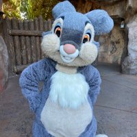 みみ (@xx__05_03) 's Twitter Profile Photo